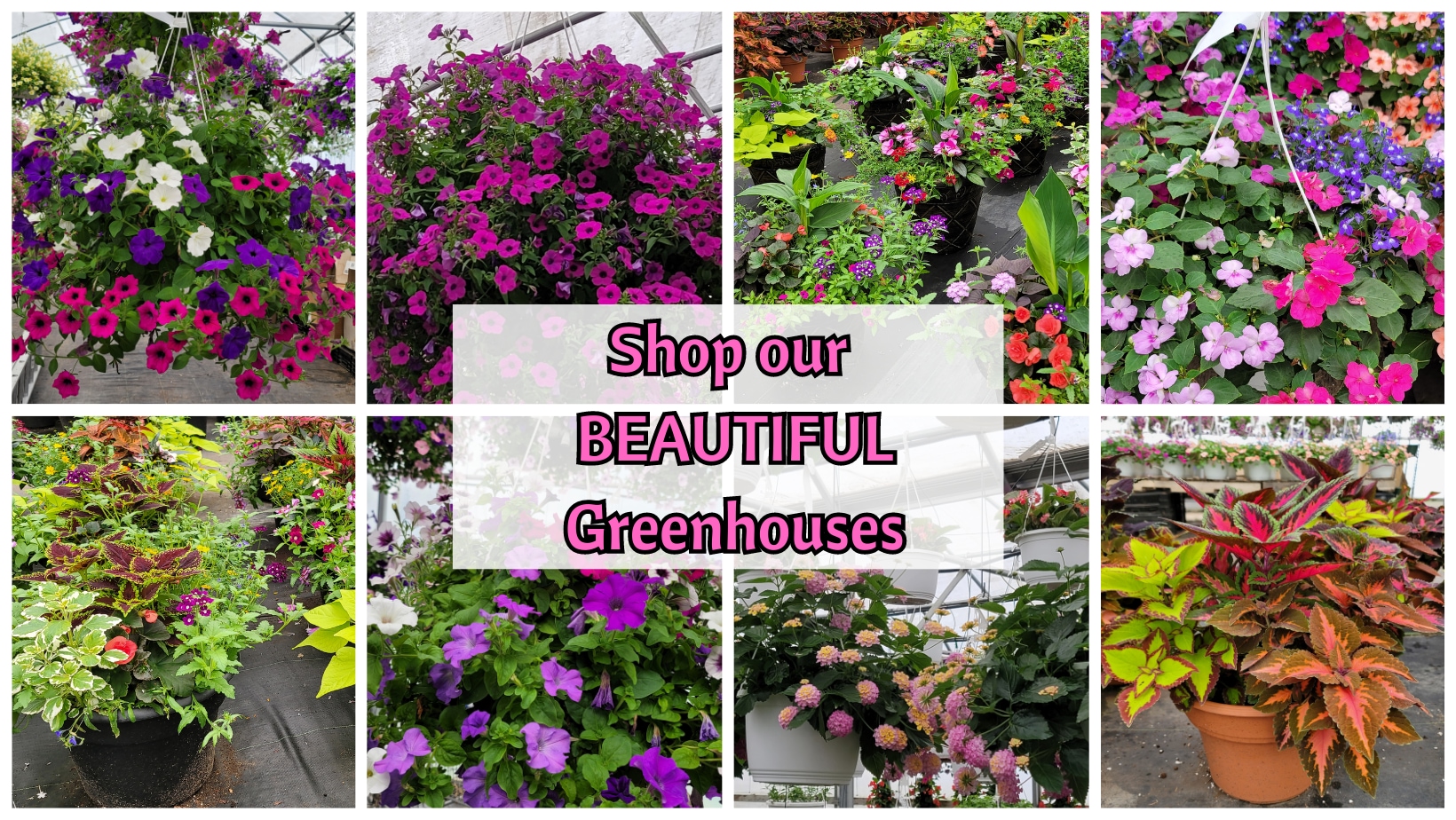 Westland Florist Flower Delivery by Westland Florist & Greenhouse